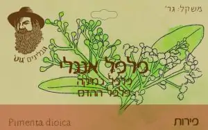 גהיי חמאת עיזים - גוט תבלינים ללא כשרות