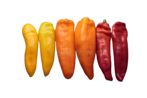 פלפל רמירו כתום אורגני