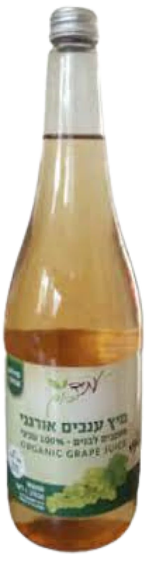 תירוש  - עתיד ירוק