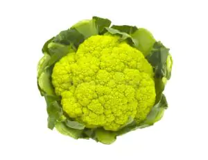 כרובית ירוקה אורגנית