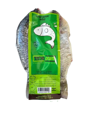 דג מושט אמנון כנרת שלם נקי קפוא חי בריא מחיר ל ק"ג