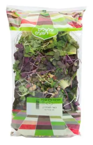 תערובת עלים רעננים סלט מוכן הידרופוני לא אורגני
