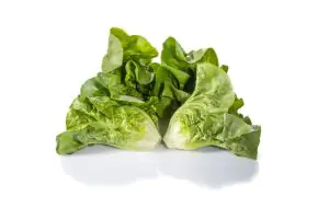 מארז לבבות זוג חסה קיסר הידרופוני ללא חרקים לא אורגני - עלעלים