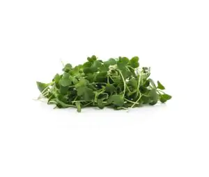 מיקרו ברוקולי אורגני עלים רעננים