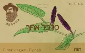 פלפל שחור ארוך  גוט תבלינים 