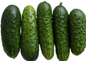 מלפפון בייבי קורניש אורגני  חצי ק"ג