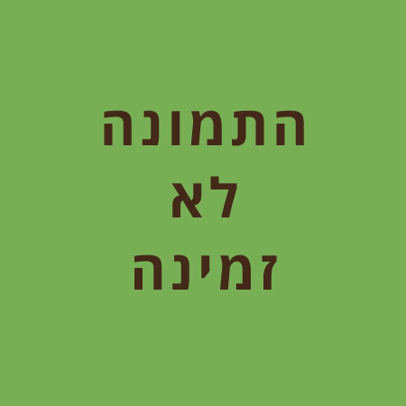 אבקת חלבון סויה 85% 300 גרם - עתיד ירוק