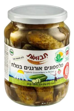 פרוסות מלפפונים אורגנים במלח - תבואות