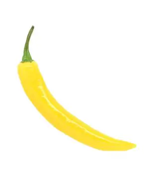 פלפל חריף קאיין צהוב אורגני