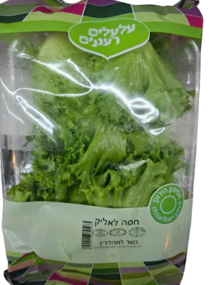 מארז זוג חסה הידרופונית לאליק ללא חרקים לא אורגנית -עלעלים