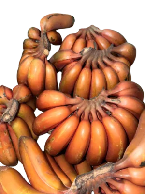 בננה אדומה אורגנית